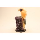 Macaw in orange calcite based on amethyst.