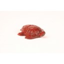 Turtle mini brazilwood